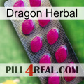 Dragon Herbal 09